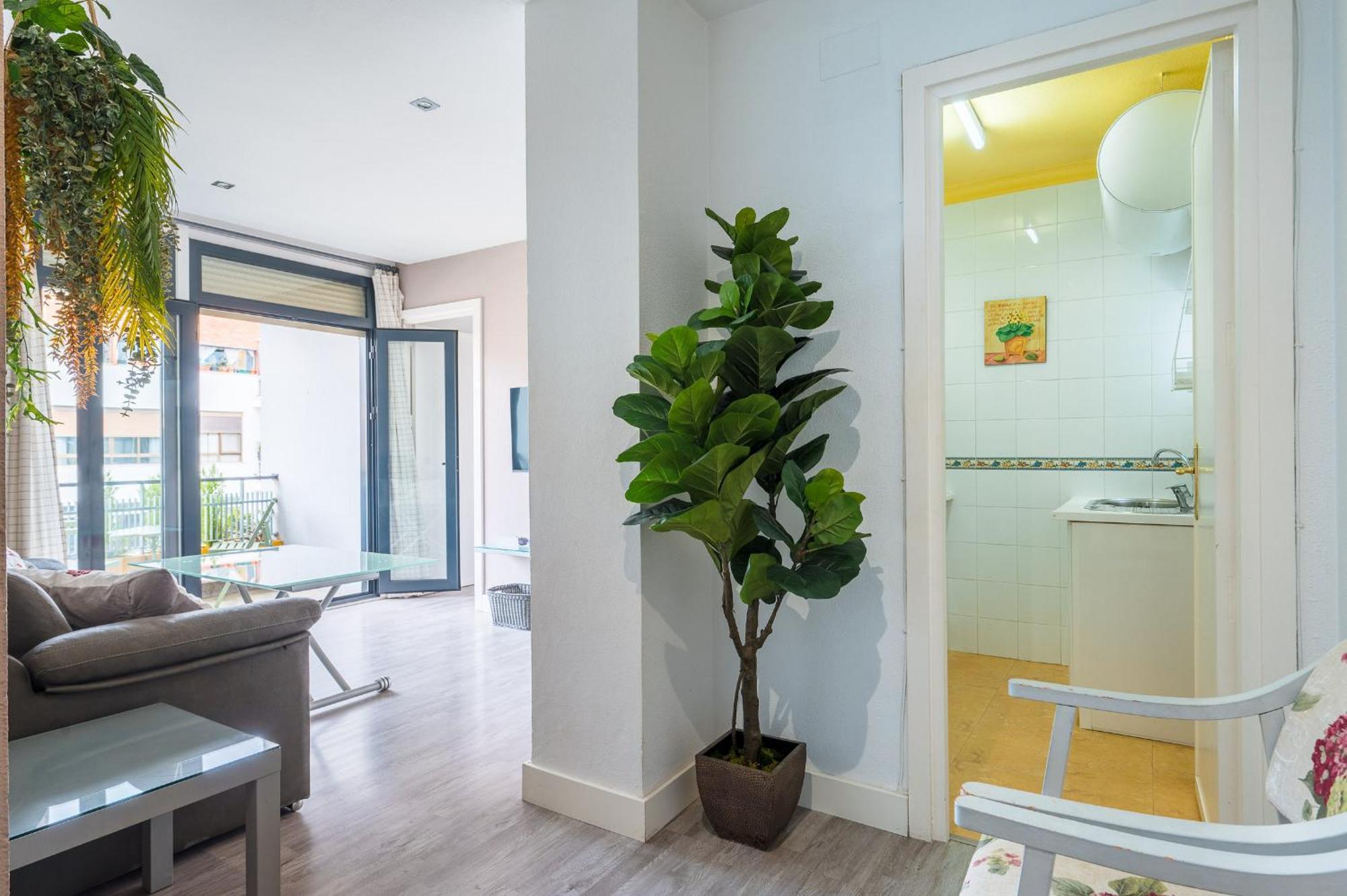 Imagen Parasol Appartement